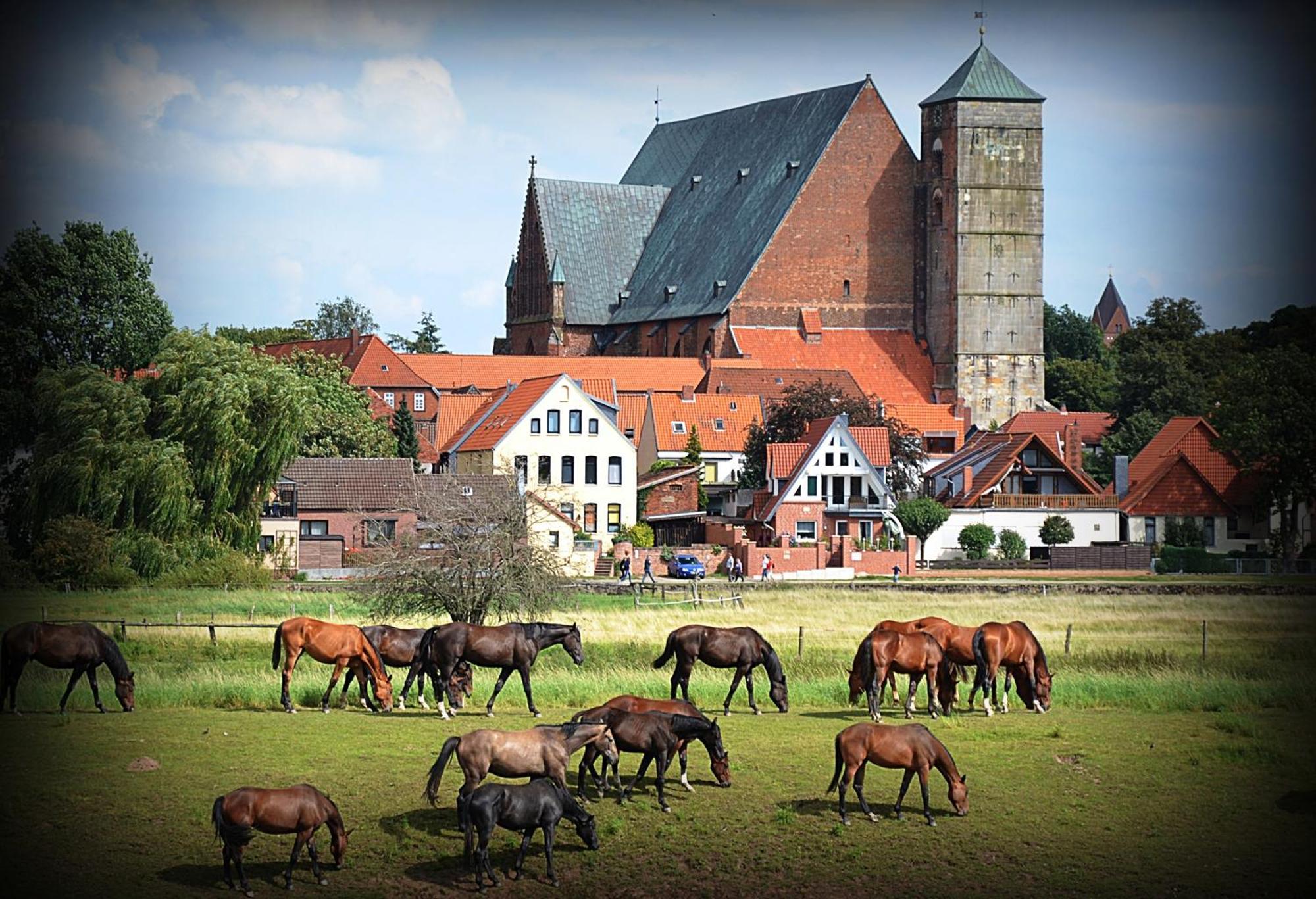 Landhotel Zur Linde Verden an der Aller Bagian luar foto
